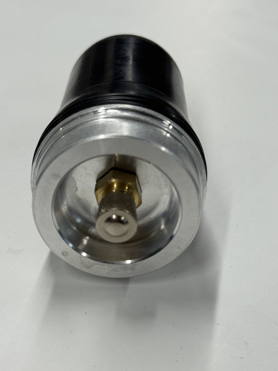 Beta x trainer Bladder upgrade